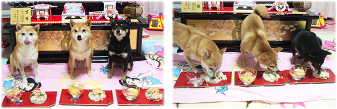日本犬にぴったりの食事 愛犬ちゃんの健やかな生活を応援するため 厳選したごはんやグッズをご紹介しております 日本犬にぴったりの食事 愛犬ちゃんの健やかな生活を応援するため 厳選したごはんやグッズをご紹介しております